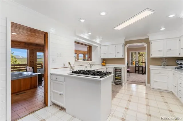 89 Jones Creek Lane Pine, CO 80470