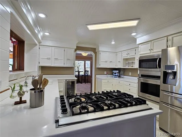 89 Jones Creek Lane Pine, CO 80470