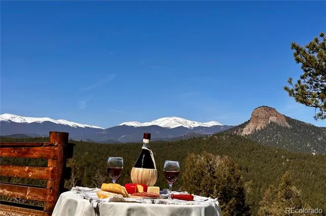 89 Jones Creek Lane Pine, CO 80470