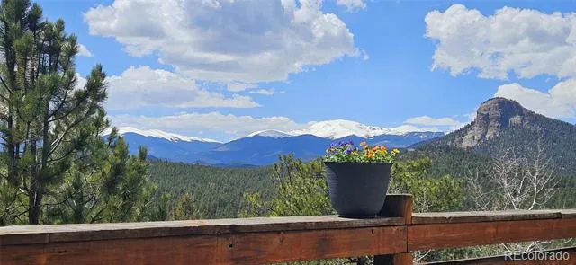 89 Jones Creek Lane Pine, CO 80470