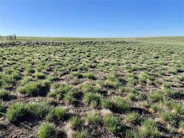 County Road 125 Deer Trail, CO 80105