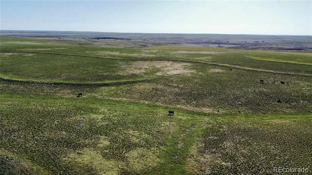 County Road 125 Deer Trail, CO 80105