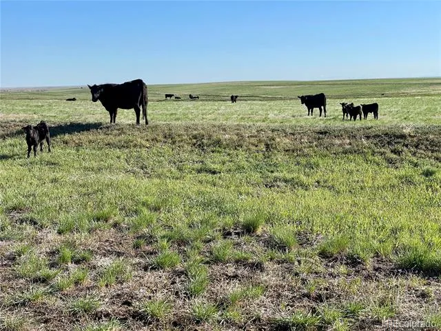 County Road 125 Deer Trail, CO 80105