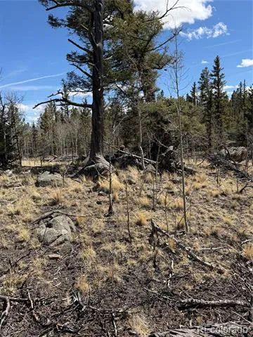 233 Cradle Board Court Jefferson, CO 80456