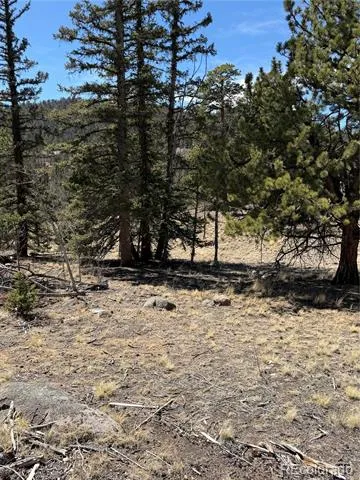 233 Cradle Board Court Jefferson, CO 80456