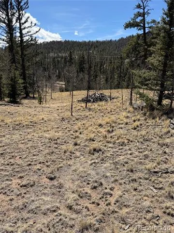 233 Cradle Board Court Jefferson, CO 80456