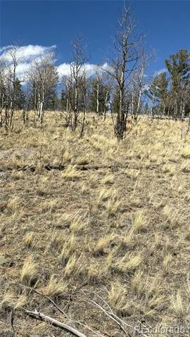 233 Cradle Board Court Jefferson, CO 80456