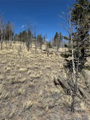 233 Cradle Board Court Jefferson, CO 80456