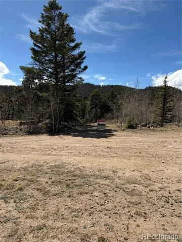 233 Cradle Board Court Jefferson, CO 80456
