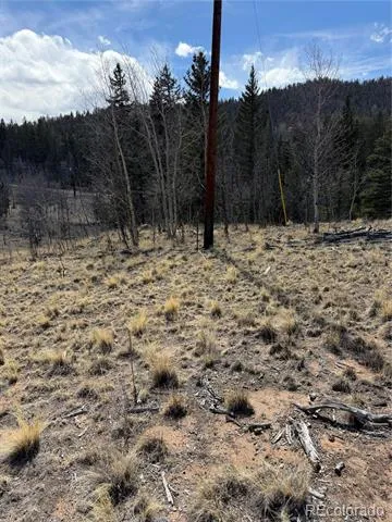 233 Cradle Board Court Jefferson, CO 80456