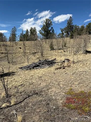 233 Cradle Board Court Jefferson, CO 80456