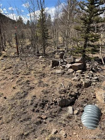 233 Cradle Board Court Jefferson, CO 80456