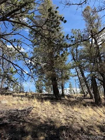 233 Cradle Board Court Jefferson, CO 80456