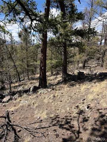 233 Cradle Board Court Jefferson, CO 80456