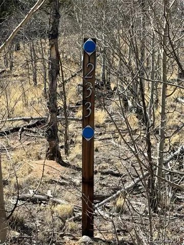 233 Cradle Board Court Jefferson, CO 80456