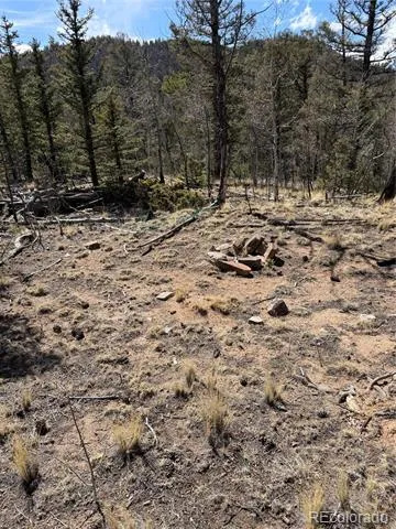 233 Cradle Board Court Jefferson, CO 80456