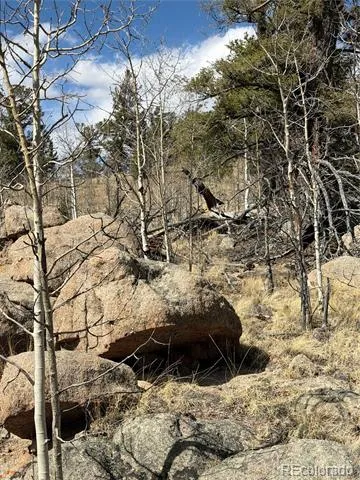 233 Cradle Board Court Jefferson, CO 80456