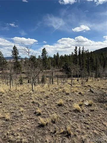 233 Cradle Board Court Jefferson, CO 80456