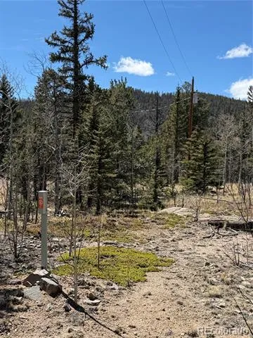 233 Cradle Board Court Jefferson, CO 80456