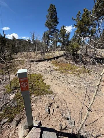 233 Cradle Board Court Jefferson, CO 80456