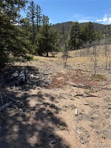 233 Cradle Board Court Jefferson, CO 80456