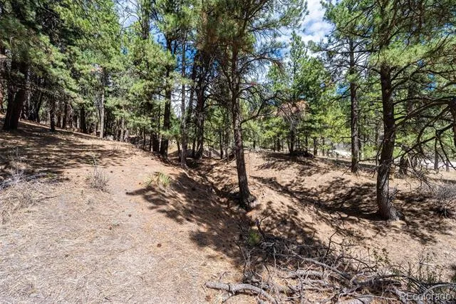 22555 County Road 49 Elbert, CO 80106