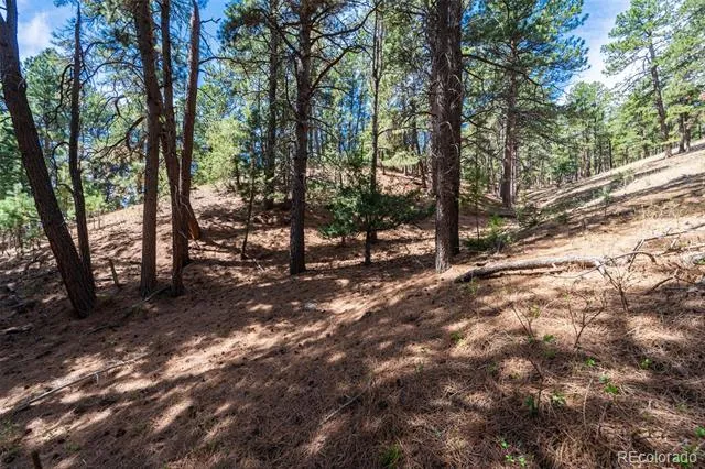 22555 County Road 49 Elbert, CO 80106