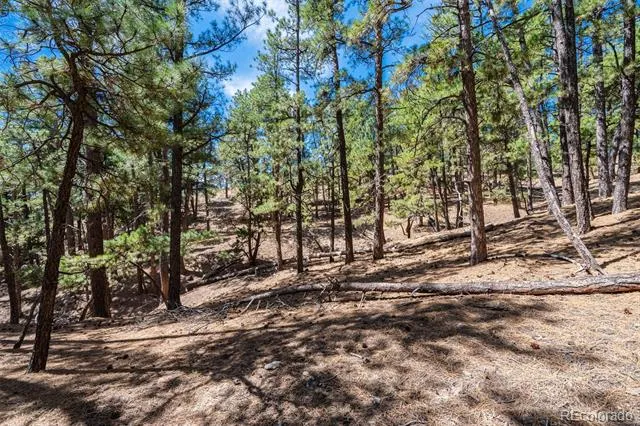 22555 County Road 49 Elbert, CO 80106