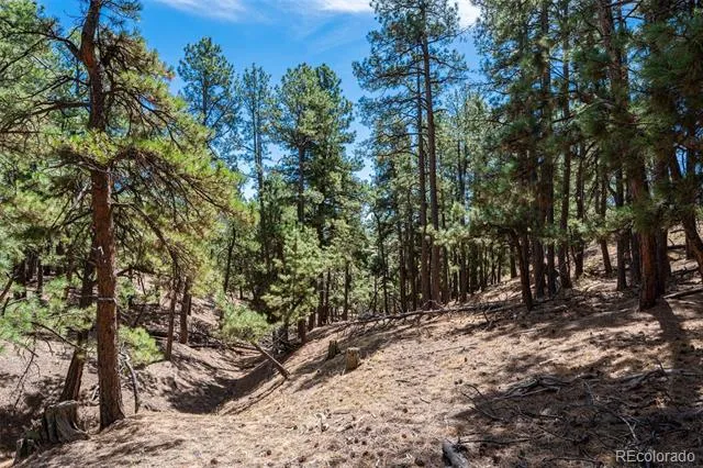 22555 County Road 49 Elbert, CO 80106