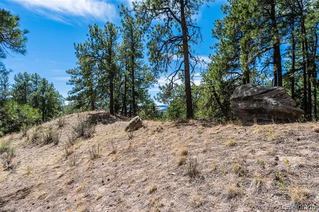 22555 County Road 49 Elbert, CO 80106