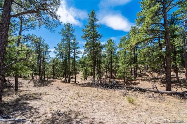 22555 County Road 49 Elbert, CO 80106