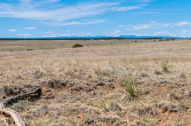 22555 County Road 49 Elbert, CO 80106