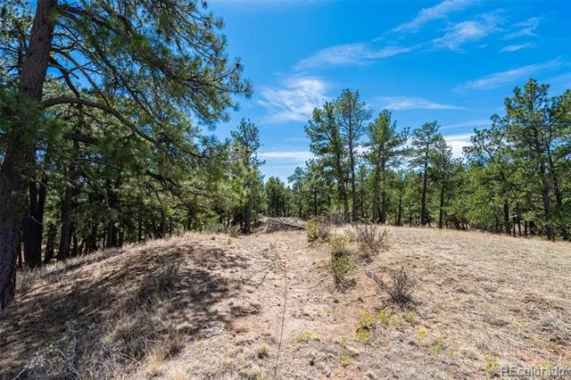 22555 County Road 49 Elbert, CO 80106