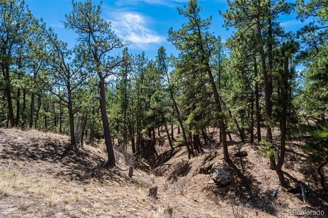 22555 County Road 49 Elbert, CO 80106
