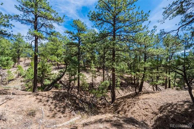 22555 County Road 49 Elbert, CO 80106