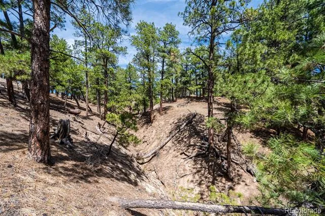 22555 County Road 49 Elbert, CO 80106