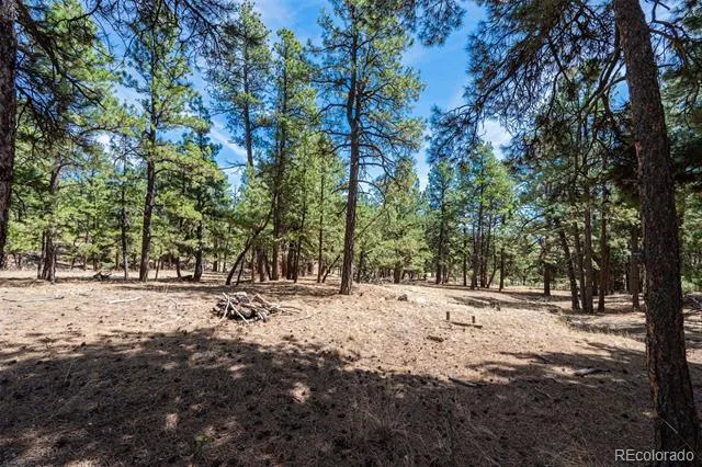 22555 County Road 49 Elbert, CO 80106