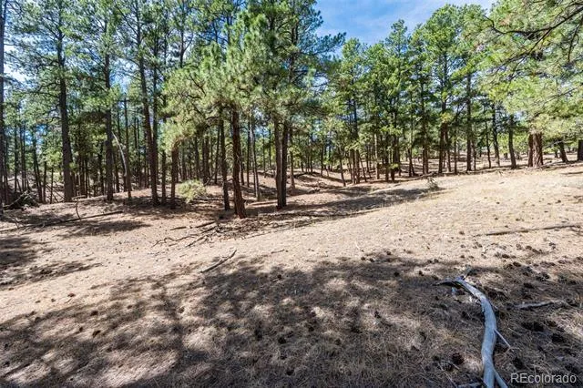 22555 County Road 49 Elbert, CO 80106