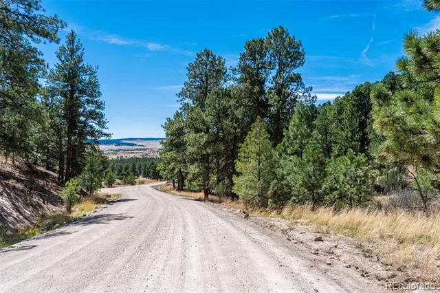 22555 County Road 49 Elbert, CO 80106