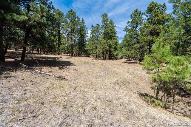 22555 County Road 49 Elbert, CO 80106