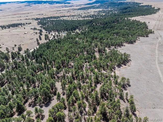 22555 County Road 49 Elbert, CO 80106