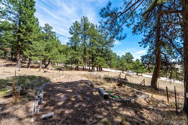 22555 County Road 49 Elbert, CO 80106