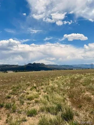 17550 Pony Run Buena Vista, CO 81211