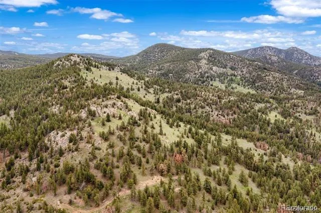 000 Spirit Horse Trail Golden, CO 80403