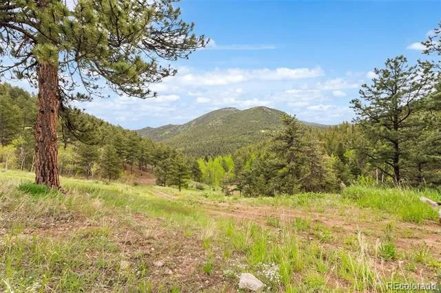 000 Spirit Horse Trail Golden, CO 80403