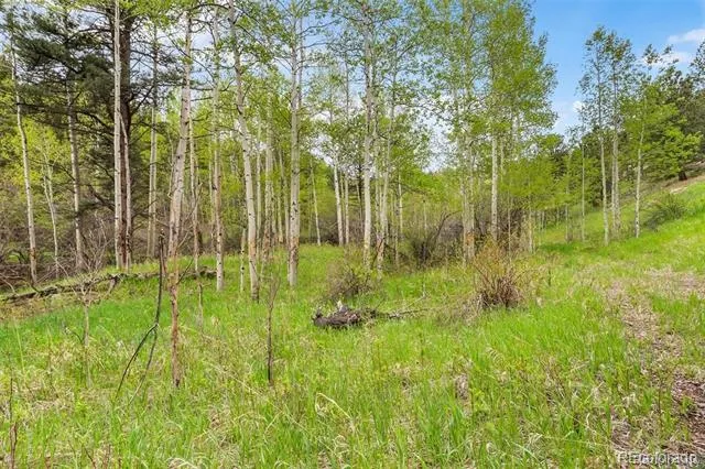 000 Spirit Horse Trail Golden, CO 80403