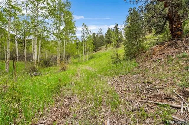 000 Spirit Horse Trail Golden, CO 80403