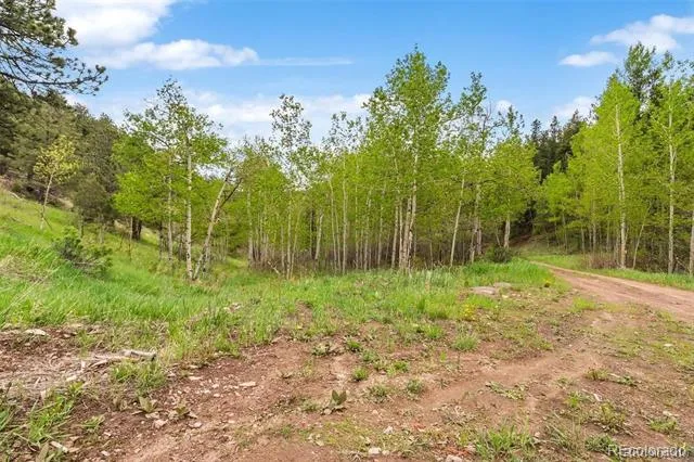 000 Spirit Horse Trail Golden, CO 80403