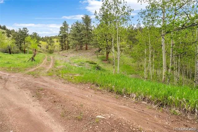 000 Spirit Horse Trail Golden, CO 80403