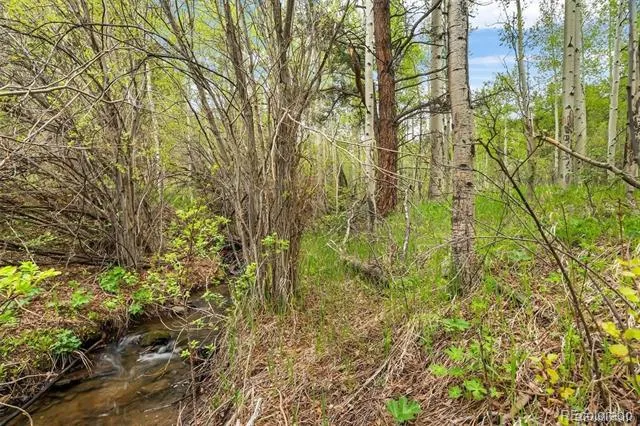 000 Spirit Horse Trail Golden, CO 80403